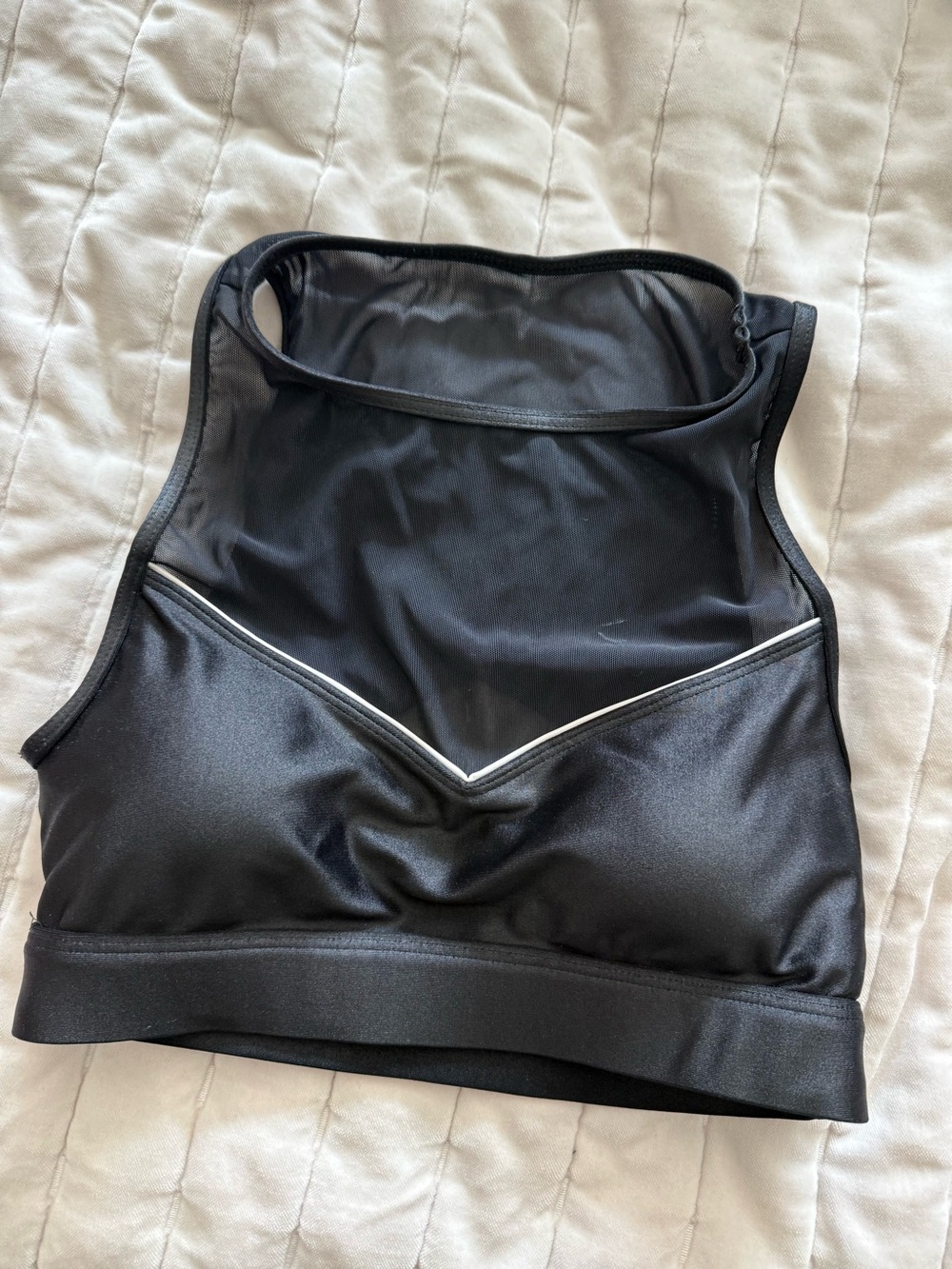Koral Sports Bra